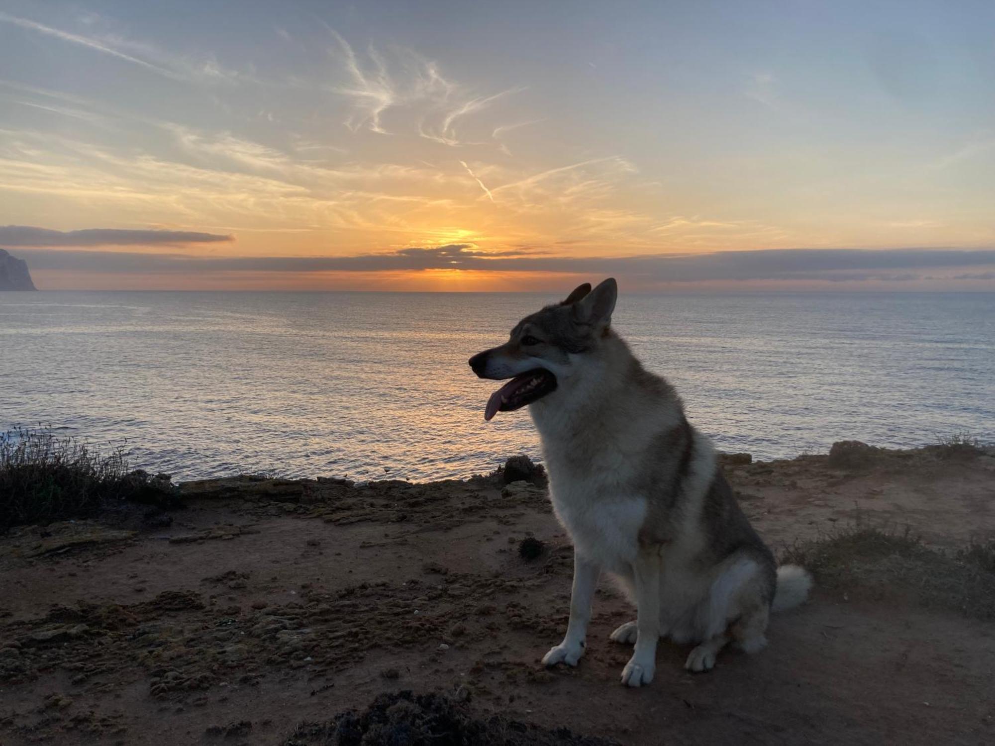 Villa Del Lupo Santa Maria la Palma Eksteriør billede