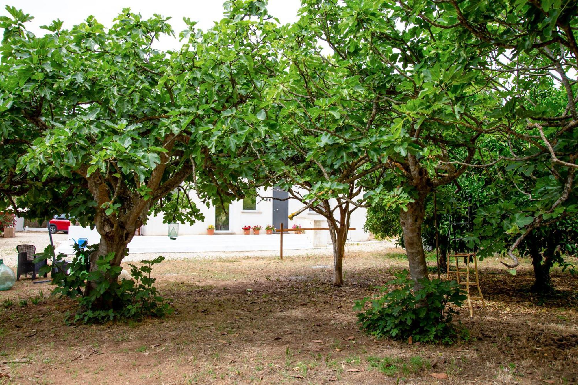 Villa Del Lupo Santa Maria la Palma Eksteriør billede