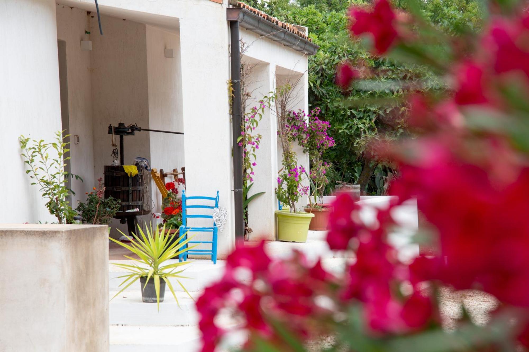 Villa Del Lupo Santa Maria la Palma Eksteriør billede