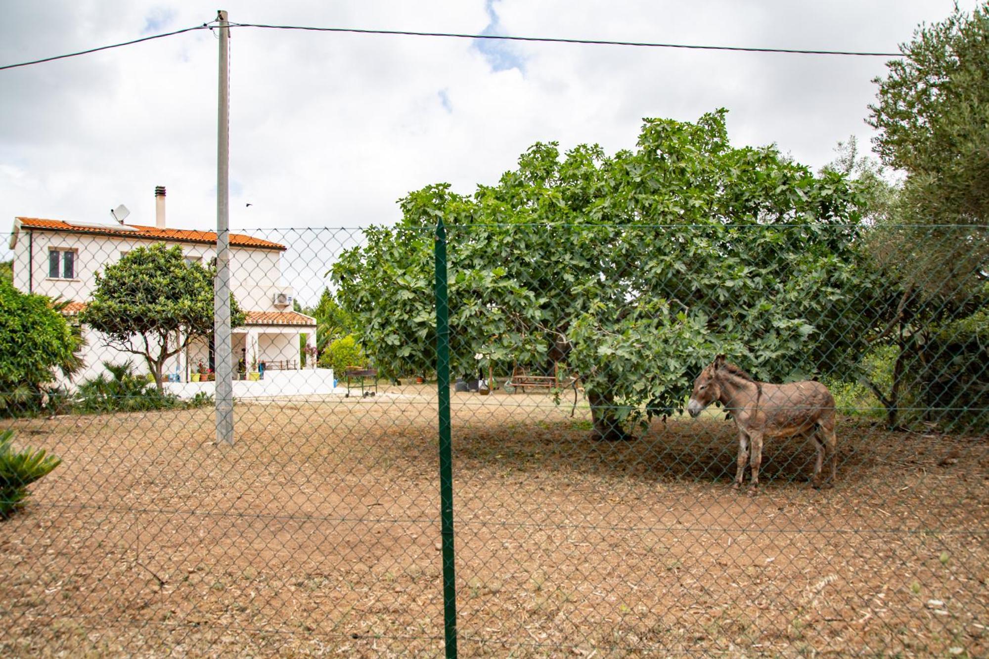 Villa Del Lupo Santa Maria la Palma Eksteriør billede